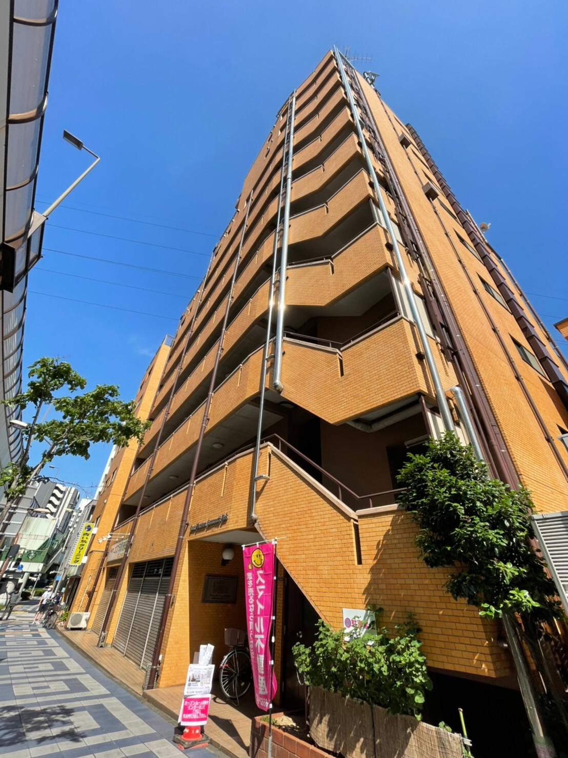 現地写真（5/23撮影）